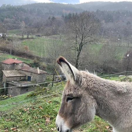 Des Nicolaux Nyaraló