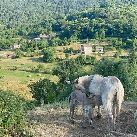 Des Nicolaux Nyaraló Beauvene